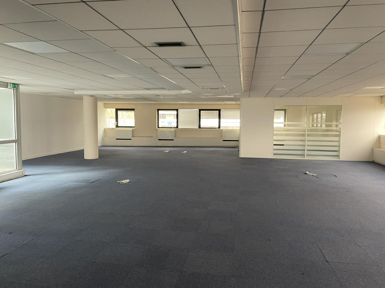 Bureau Ivry-sur-Seine 481m² Location bureau Ivry-sur-Seine Val-de-Marne OLBUR2103772 3